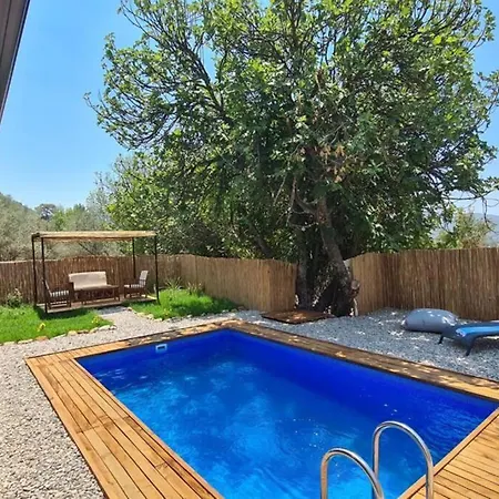 Mitos , Uzum Baglari Ve Zeytinlikler Icinde Mini Bir Cennet Ve Tas Ev - дом мифы Villa Fethiye