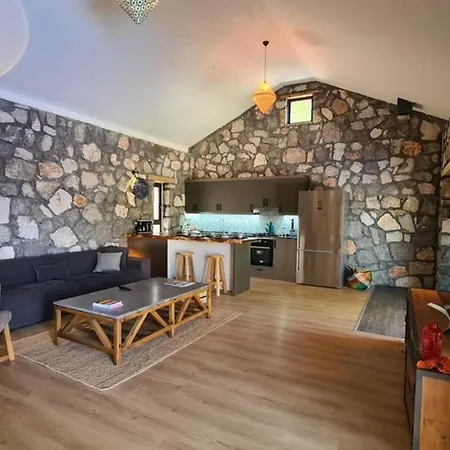 Villa Mitos , Uzum Baglari Ve Zeytinlikler Icinde Mini Bir Cennet Ve Tas Ev - дом мифы *